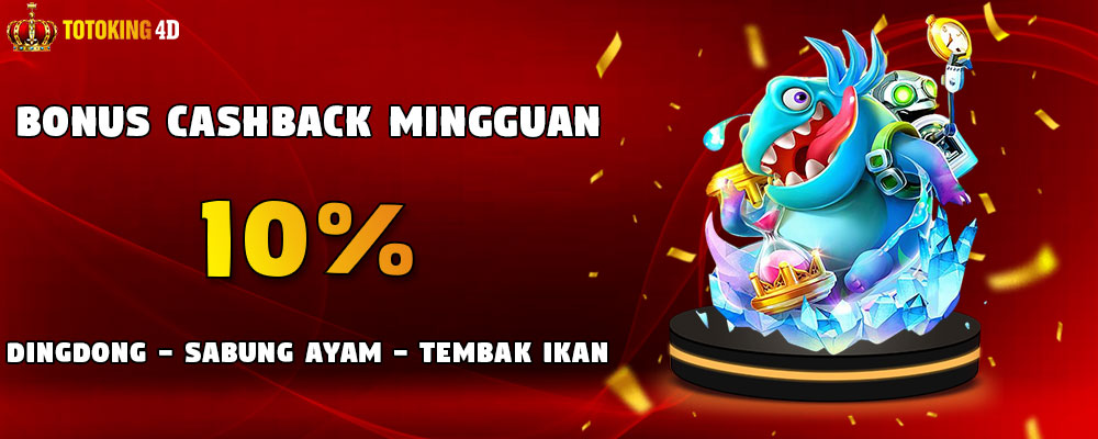 Bonus CashBack Mingguan DingDong, Sabung Ayam, dan